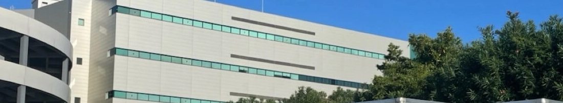 雇用区分別のキャリア形成とステップアップの概念図。「社員」は職務・業態・職位など多様なパターンでの経験を通じてステップアップする流れが示され、「専門職社員」や「パートナー社員」は特定の職種やセンターで専門性を極める流れが示されています。また、パートナー社員や専門職社員から、社員（スタッフ・チーフ・リーダー等）へと矢印が伸びており、雇用区分を超えた登用制度があることが表現されています。